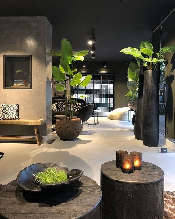 Diseñadores de interiores en Barranquilla